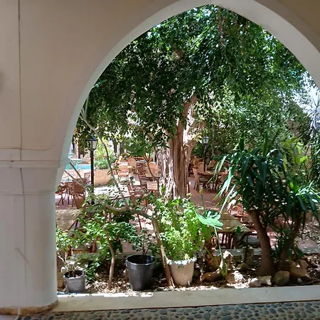 Niki Breeze - Newly Renovated Elite Garden *